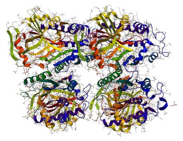 Discover the Remarkable Synergy of Combining Adderall and Propranolol