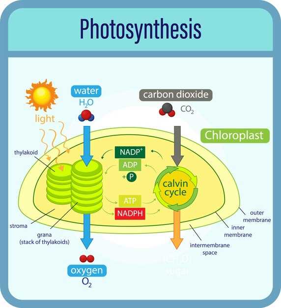 Pharmacology