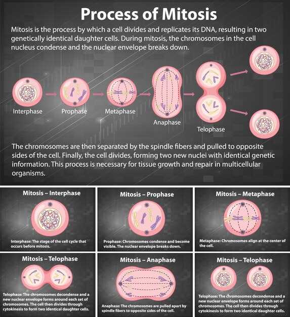 Enhancing Knowledge on Propranolol's Metabolism