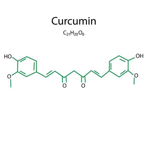 Understanding the Mechanism of Action