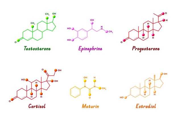 Regulating Key Biological Processes