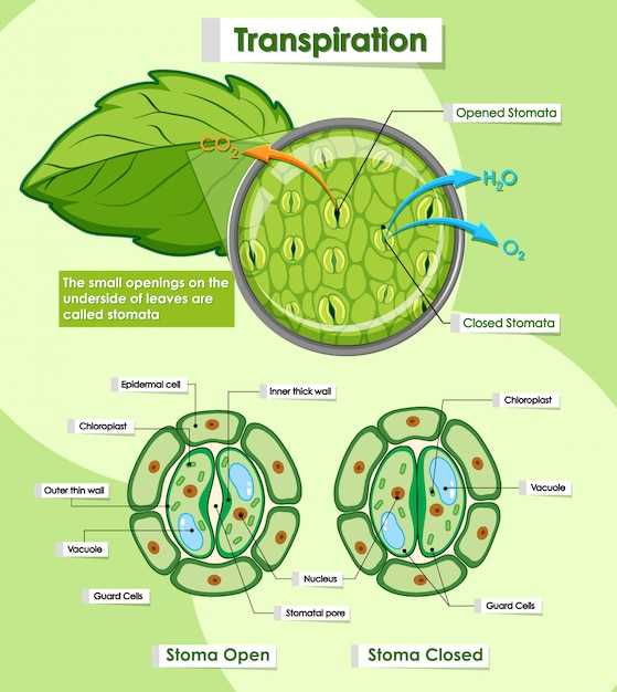 Individualized Treatment Approach