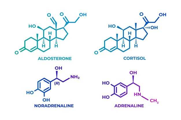 Propranolol and albuterol