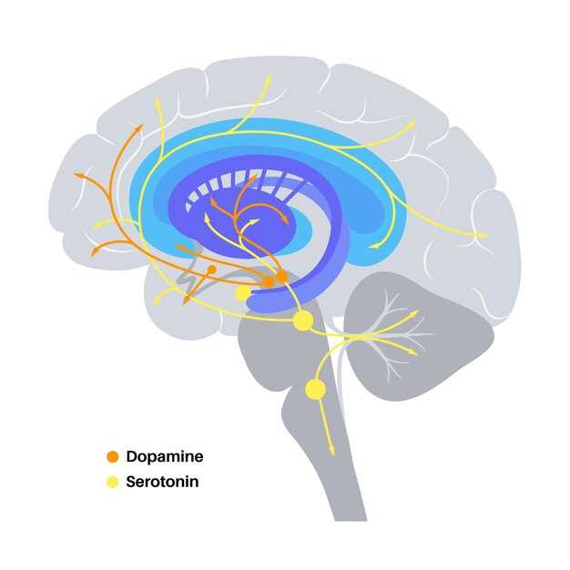 Propranolol sympathetic nervous system